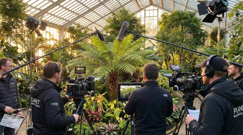 香蕉视频植物视频-幕后花絮视频教程